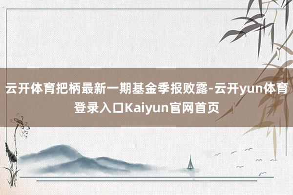 云开体育把柄最新一期基金季报败露-云开yun体育登录入口Kaiyun官网首页