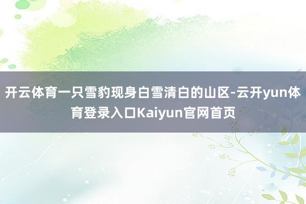 开云体育一只雪豹现身白雪清白的山区-云开yun体育登录入口Kaiyun官网首页