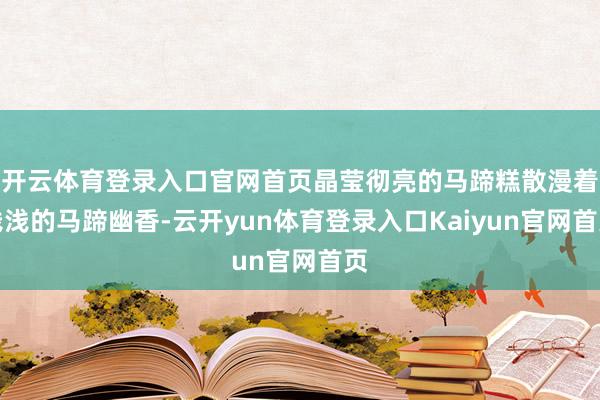 开云体育登录入口官网首页晶莹彻亮的马蹄糕散漫着浅浅的马蹄幽香-云开yun体育登录入口Kaiyun官网首页